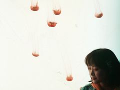 -沈阳海洋探索中心