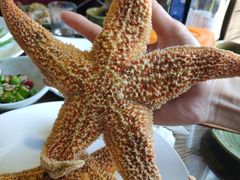-鲁前海沿儿