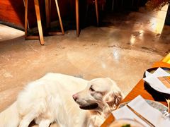 -咖法森林·咖啡  酒吧(天河店)