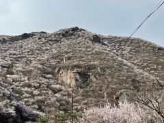 -妙峰山风景名胜区