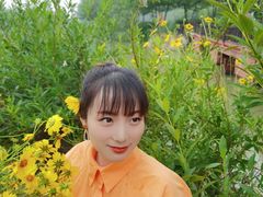 -合肥滨湖国家森林公园