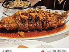 -金春禧(世茂国际广场店)