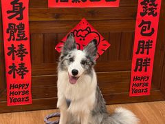 -梧桐巷咖啡厅·coffee&bar