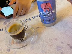 -Sirena海妖日咖夜酒