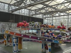 -南宫五洲植物乐园