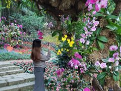 -广州市石门国家森林公园