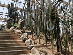 -南山植物园