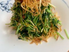 巧拌豆苗-四季民福烤鸭店(前门廊房二条店)