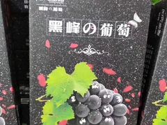 -西郊国际农产品交易中心