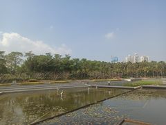 -厦门海湾公园游乐场