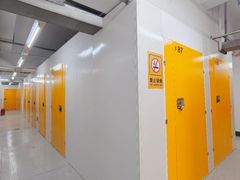 -安东易迷你自助仓储寄存仓库(顾戴路店)