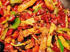 三峡石爆肥肠-红辣椒·川菜·火锅(科华路店)