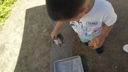 -萌宠亲子动物乐园(槐房万达店)