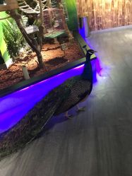 -未来动物城主题公园(正弘城店)