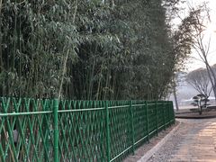 -泰丰公园