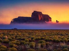 -上海旅游集散中心(万体站)