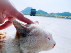 -五台山风景区