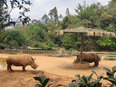 -泉州海丝野生动物世界