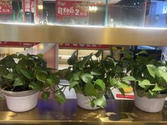 -香约老地方烧烤(九道街店)