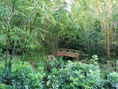 -大屏嶂森林公园