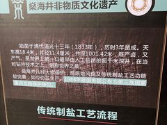 -燊海井