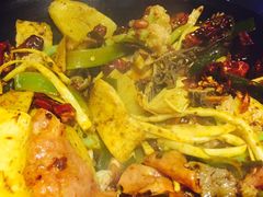 -食乐佳麻辣香锅(森林摩尔商业街区店)