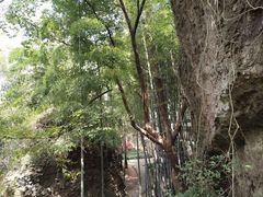 -绍兴汤江岩风景区