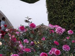 -人民公园(罗湖区)