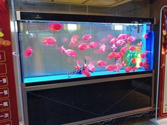 -臻享养生·SPA·影院式足道(汇臻店)