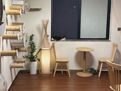 -楼上猫咖(罗湖店)