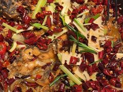 -老板恋上鱼(印象城店)