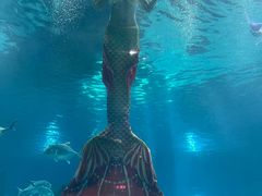 -福州罗源湾海洋世界旅游区
