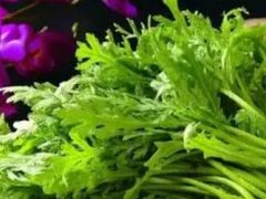 茼蒿-青一色火锅(摩根店)