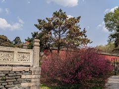 -北陵公园