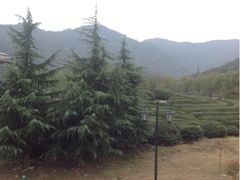 iphone_upload_pic-余姚阳明温泉山庄