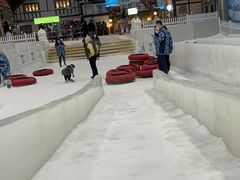 -世界之窗阿尔卑斯冰雪世界