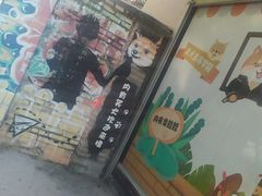 -柴犬高等学院·狗咖·柴犬售卖·宠物训练