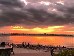 -宝安西湾红树林湿地公园