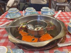 -金鼎雪山牦牛杂火锅(理县总店)