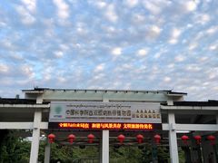 -中国科学院西双版纳热带植物园