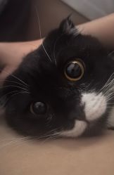 -杭州医巢医疗美容