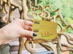 -将军关探险漂流