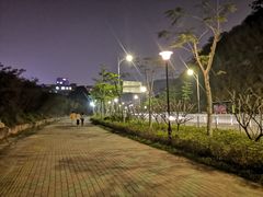 -宝安西湾红树林湿地公园