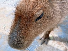 -南戴河国际娱乐中心