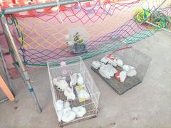 -东戴河风景区-止锚湾