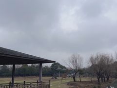 -宁波野生动物园