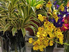 -拾花记花艺·求婚·订婚·生日布置(高新店)