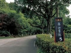 -羊山湖公园
