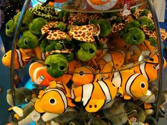 -上海海洋水族馆-停车场