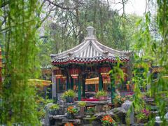 -白家大院·王府宫廷菜(苏州街店)